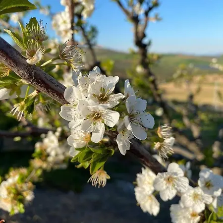Casa Rural Los Jimenez * マラガ